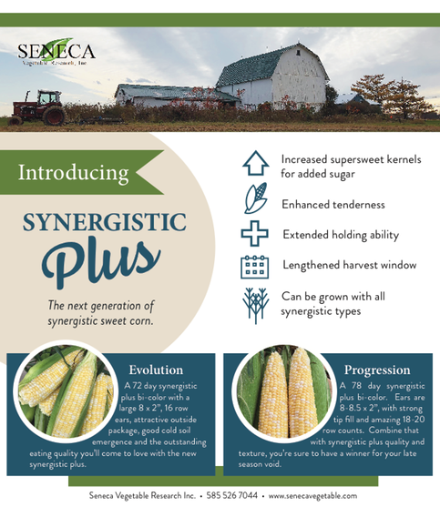 SVR Synergistic Plus